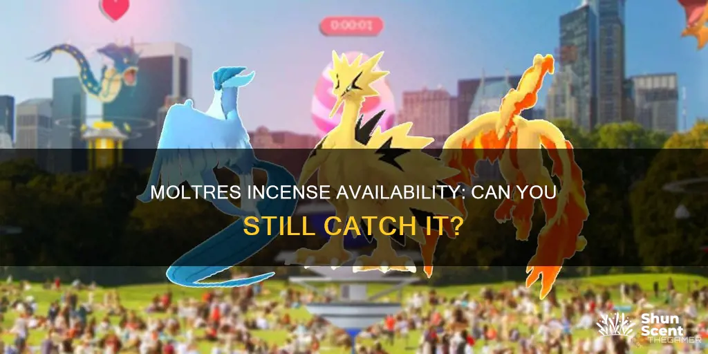 is moltres with adventure incense still available