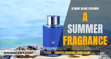 Mont Blanc Explorer: Summer Fragrance or Winter Warmth?