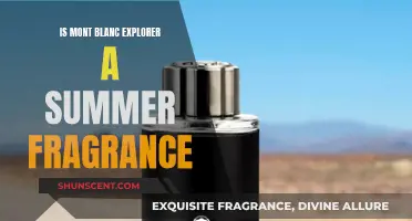 Mont Blanc Explorer: A Summer Fragrance?
