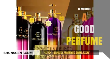 Montale Perfume: Worth the Hype?