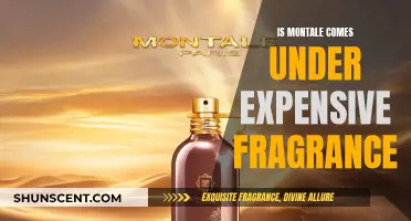 Montale's Luxury: Is It Worth the Price Tag?