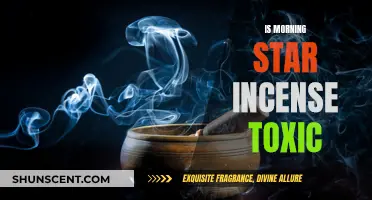 Incense Toxicity: Morning Star's Safety Concerns