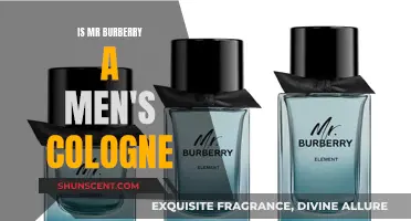 The Alluring Scent of Mr. Burberry for Men