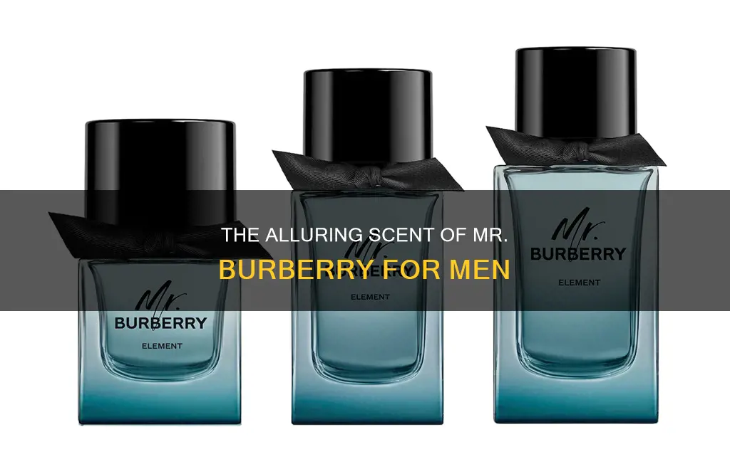 is mr burberry a men