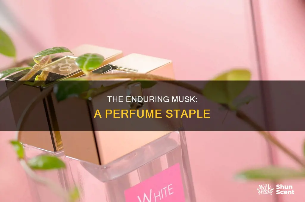 is musk still used in perfume