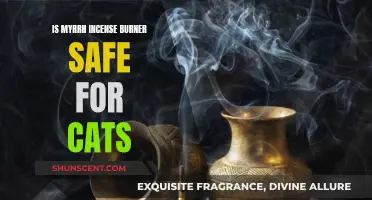 Incense Burning With Cats: Is Myrrh Safe?