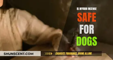 Incense Safety: Myrrh and Dogs, What You Need to Know