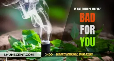 Nag Champa Incense: Is It Harmful to Your Health?