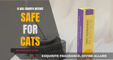 Incense and Cats: Is Nag Champa Toxic?