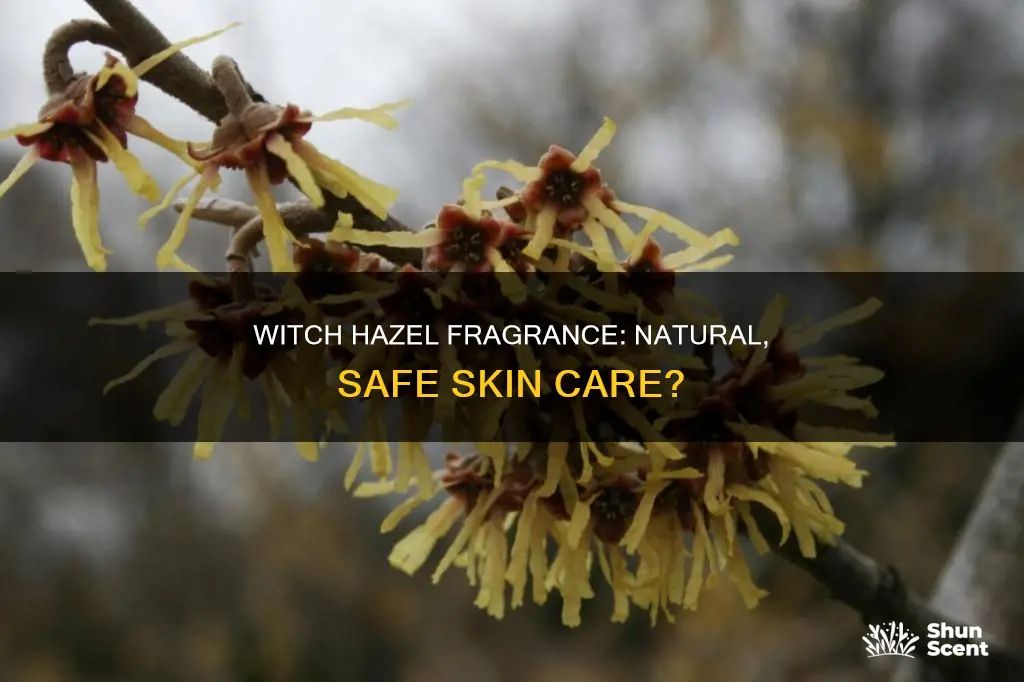 is natural witch hazel fragrance okay for skin