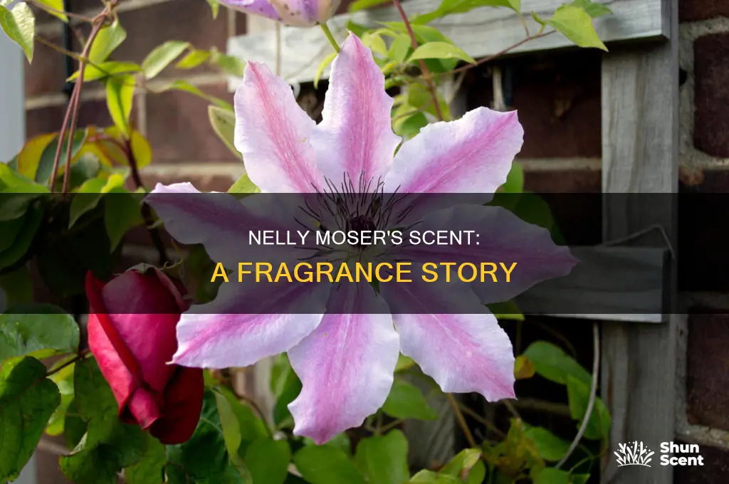 is nelly moser a fragrance