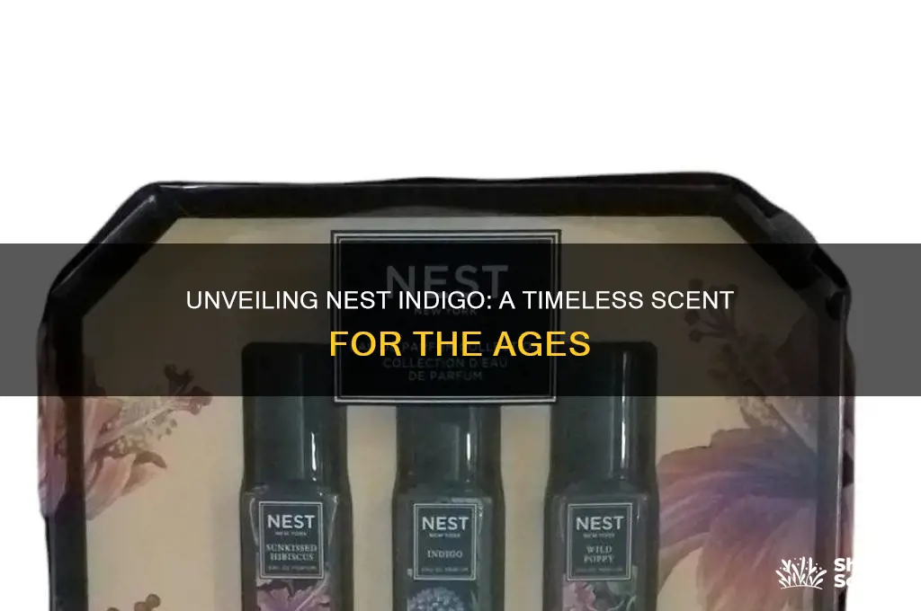 is nest indigo perfume an old lady scent