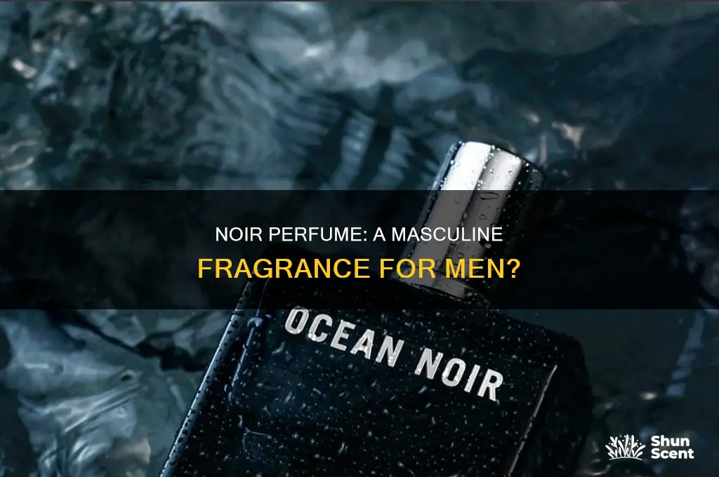 is noir perfume for men