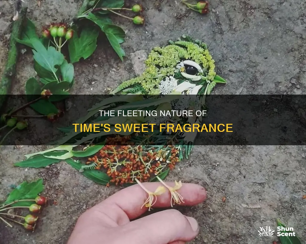 is not impermanence the fragrance of our days