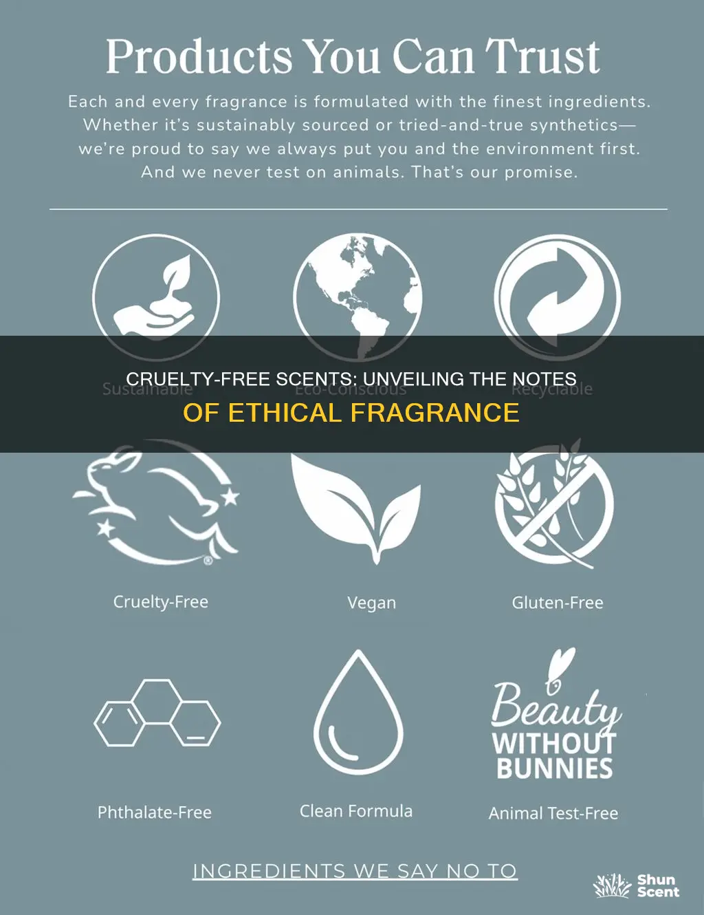 is note fragrances cruelty free