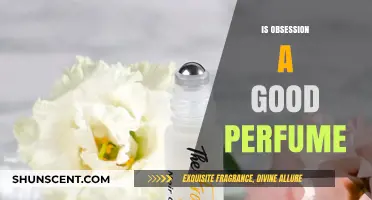 Obsession Perfume: Is it Worth the Hype?
