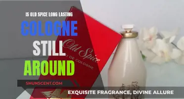 Old Spice: Is the Long-Lasting Scent Still Relevant?