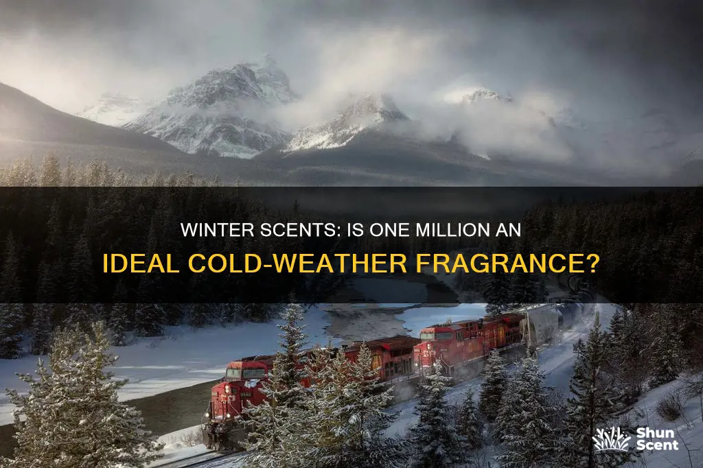is one million a winter fragrance