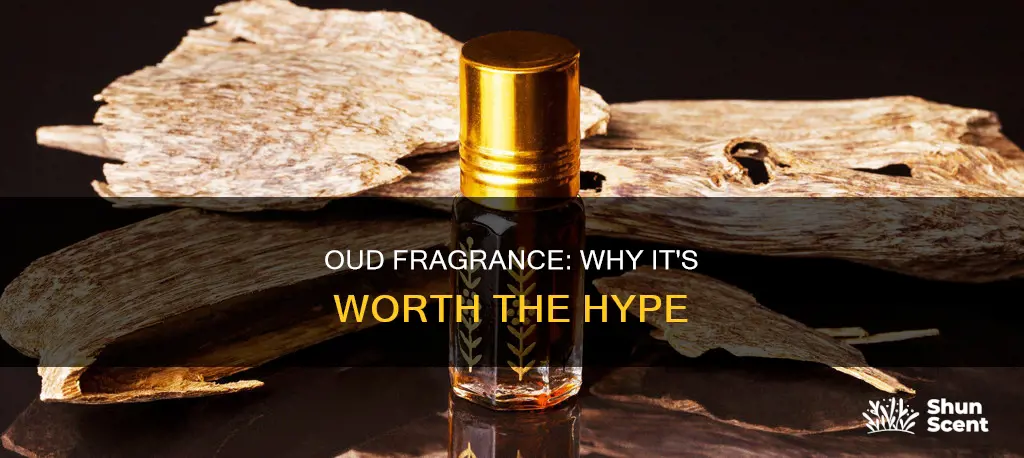is oud fragrance good