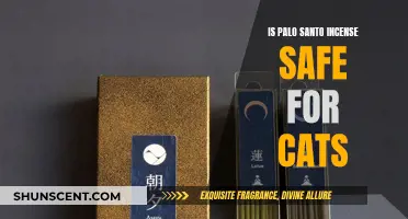 Incense and Cats: Is Palo Santo Safe?
