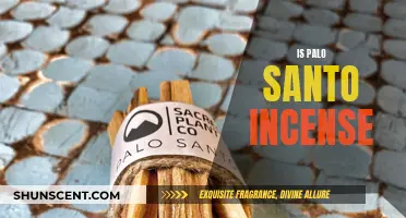 The Mystical Powers of Palo Santo Incense