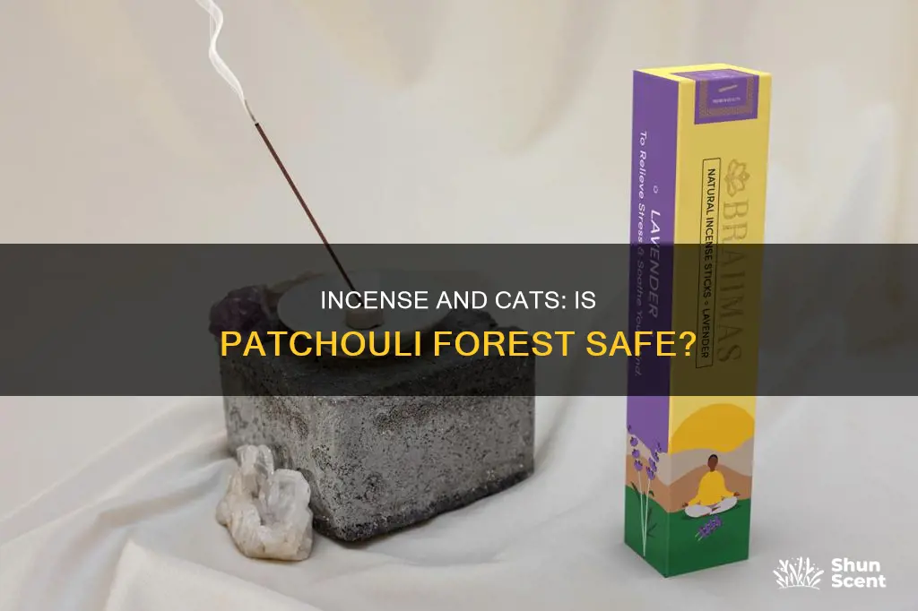is patchouli forest incense safe for cats