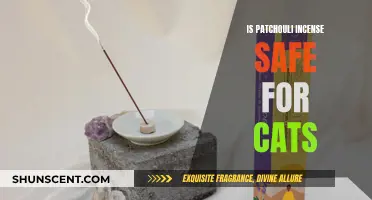 Incense and Cats: Is Patchouli Safe for Felines?