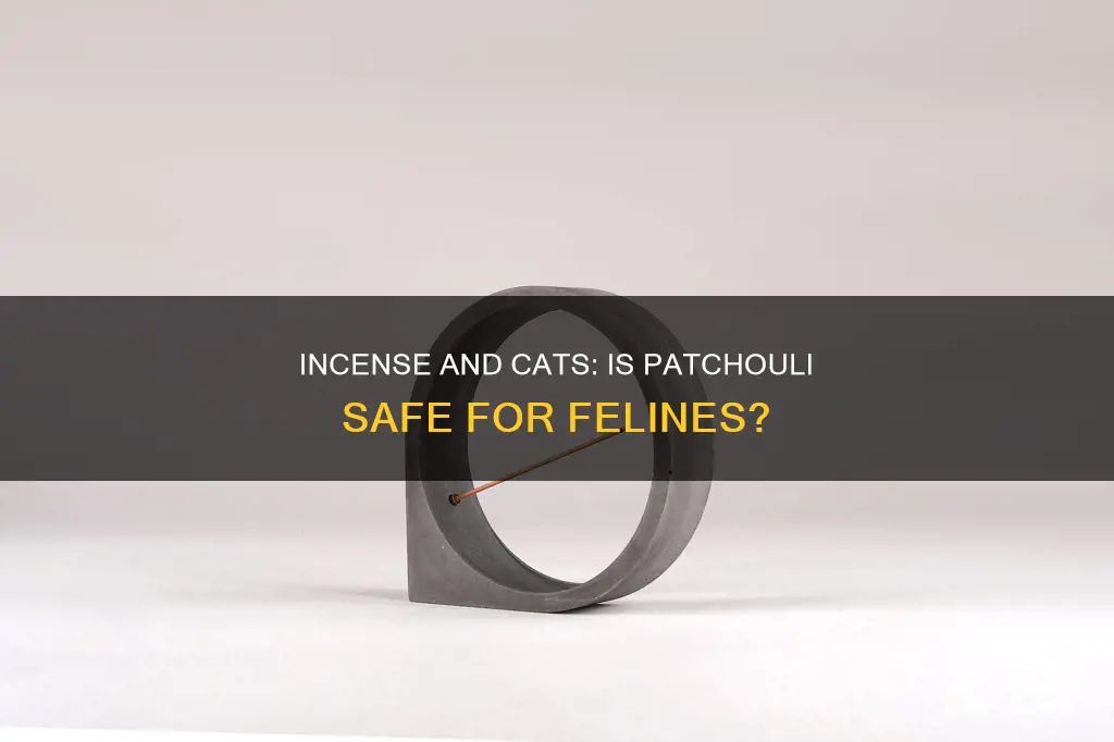 is patchouli incense safe for cats