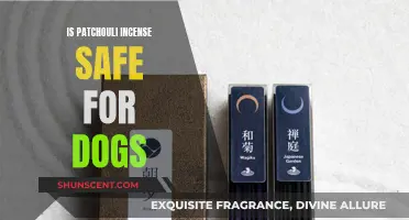 Incense and Canines: Patchouli's Safety for Dogs