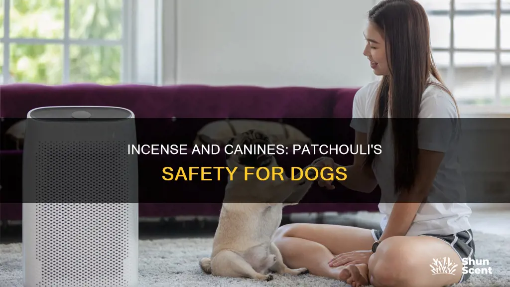 is patchouli incense safe for dogs