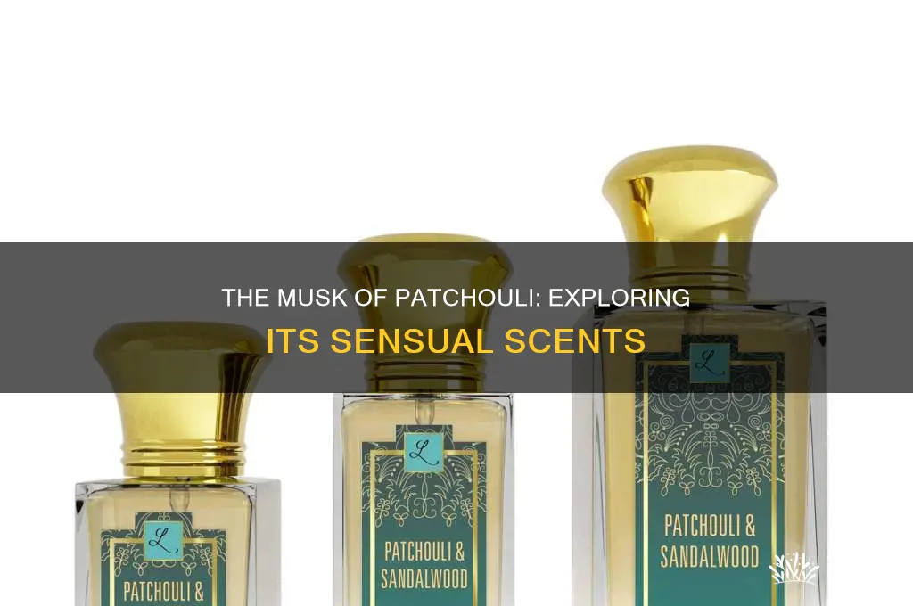 is patchuolli a musky scent for perfume