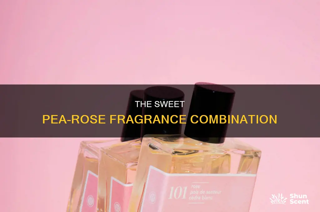 is pea used in rose perfumes