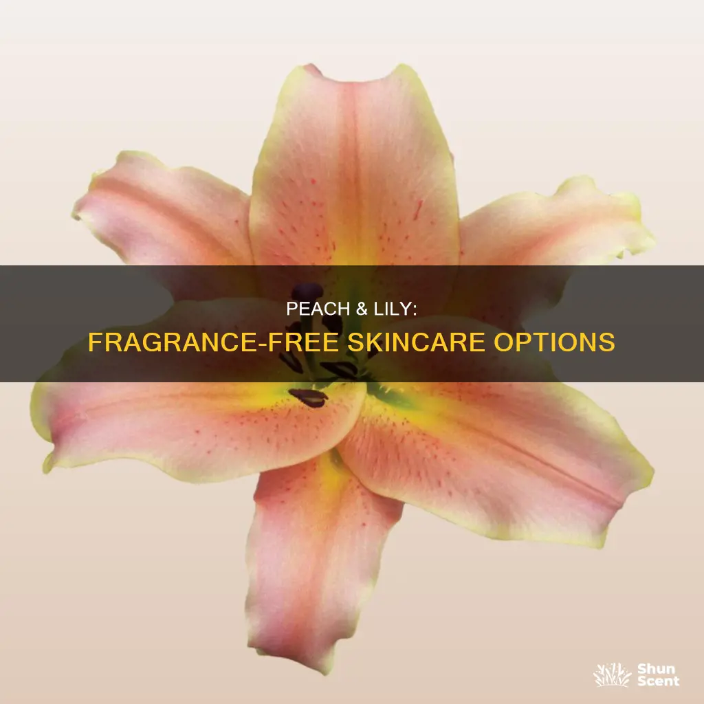 is peach and lily fragrance free