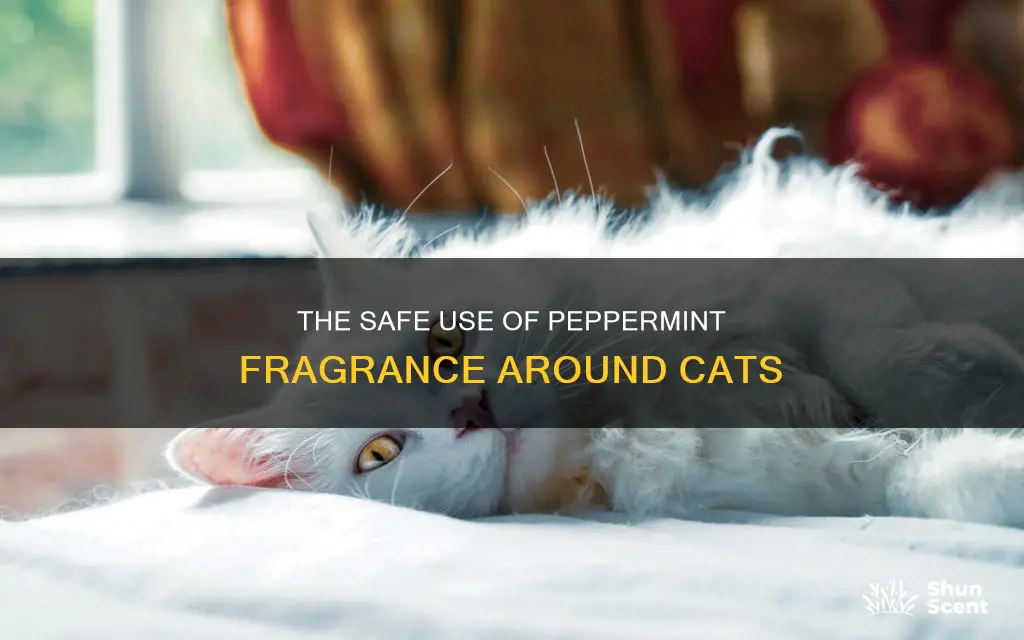 is peppermint fragrance ok for cats