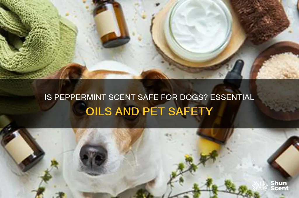 is peppermint scent safe for dogs