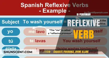 What's the Reflexive Nature of "Perfumar"?