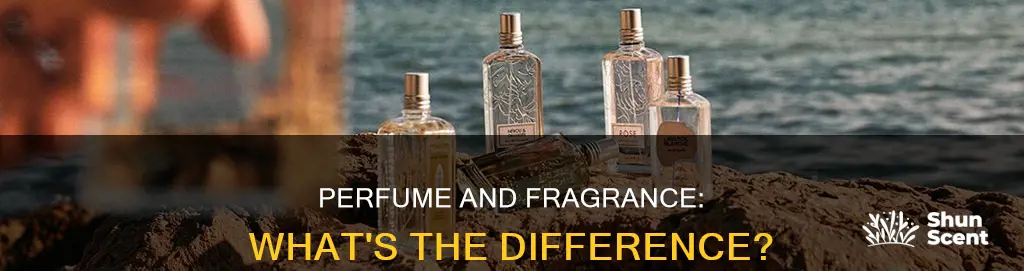is perfume a fragrance