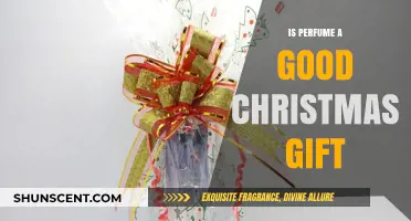 The Perfect Christmas Gift: Perfume for the Holidays