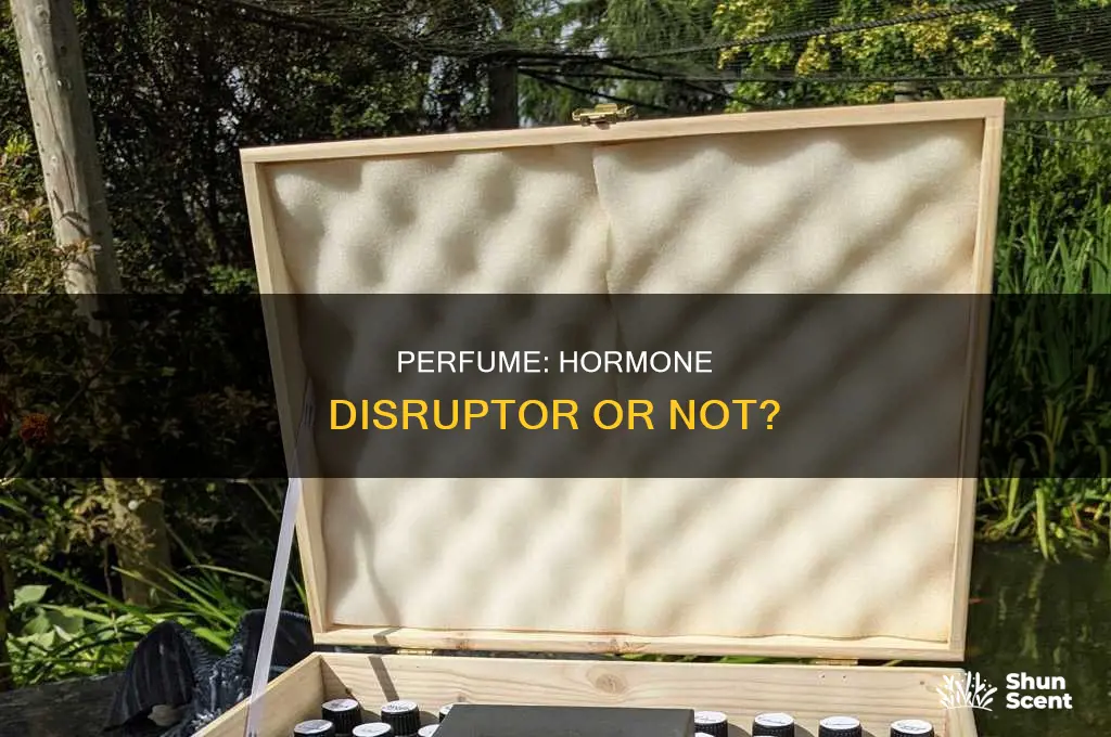 is perfume a hormone disruptor
