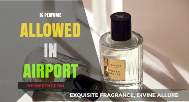 Can You Carry Perfume in Your Hand Luggage?