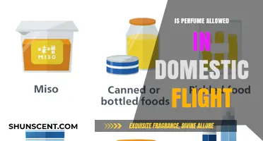 Can You Carry Perfume on Domestic Flights?