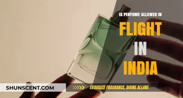 Can You Carry Perfume in Your Hand Luggage in India?