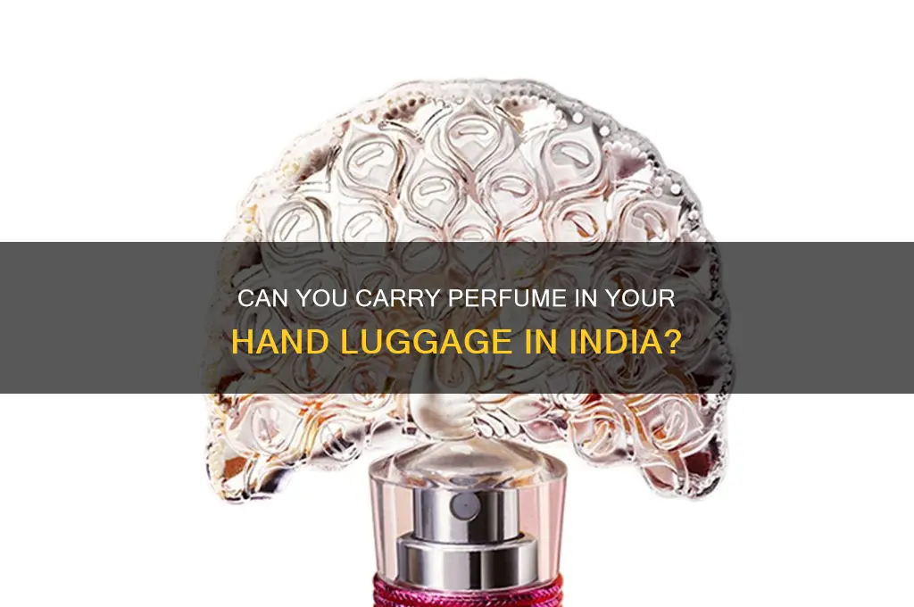 is perfume allowed in flight in india