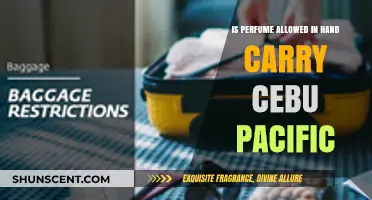 Can You Bring Perfume in Your Carry-On?