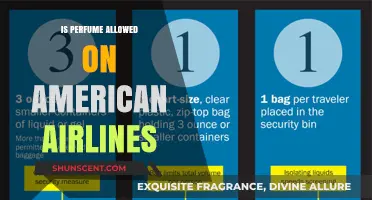 Perfume Policies on American Airlines Flights