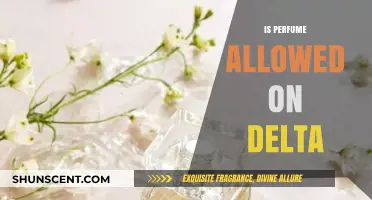 Delta's Scented Policies: Are Perfumes Allowed?