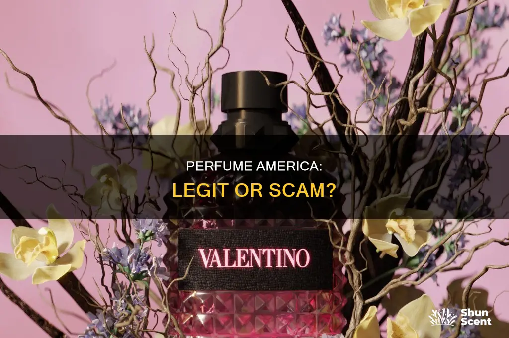 is perfume america legit