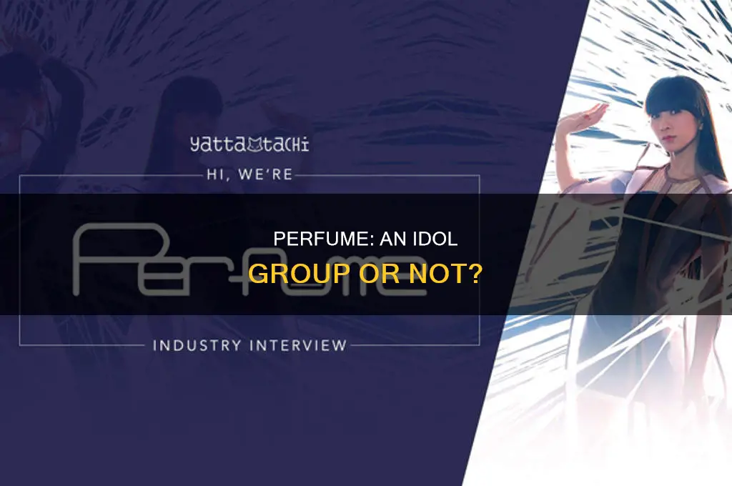 is perfume an idol group