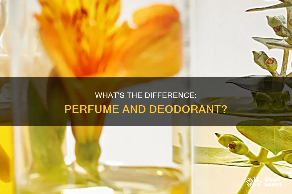 is perfume and deodorant same