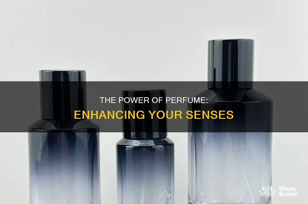 is perfume any good